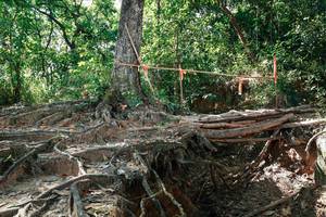 BIB: 
                            <button type="button" onclick="openModal(27800016)" class="btn btn-primary btn-sm float-right btn-popup" data-toggle="modal" data-target=".modal-high-quality">
                        <i class="fas fa-shopping-cart"></i> Add to Cart
                    </button>
                                            <button type="button" onclick="isThisMe(27800016, true)" class="btn btn-success btn-sm float-right btn-popup btn-isme hidden" data-toggle="tooltip" data-placement="bottom" title="นี่คือรูปของคุณใช่ไหม คลิกที่นี่เพื่อเอาเข้าอัลบั้ม">
                        <i class="fas fa-plus"></i> Add to album
                    </button>
                    <button type="button" onclick="isThisMe(27800016, false)" class="btn btn-warning btn-sm float-right btn-popup btn-isnotme hidden">
                        <i class="fas fa-ban"></i> Remove from album
                    </button>